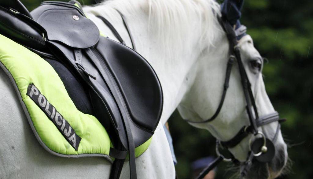 Slovenski policisti kupujejo dva konja, kakšna morata biti?