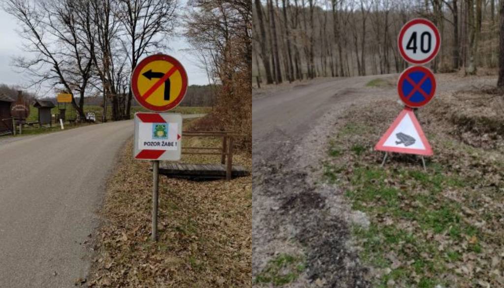 Ob Bukovniškem jezeru pristopili k ureditvi in zagotavljanju varnejše selitve dvoživk