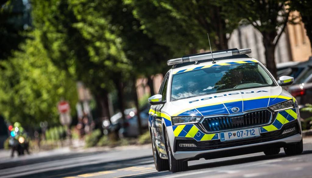 Ste videli smrtno prometno nesrečo? Policija prosi za pomoč 