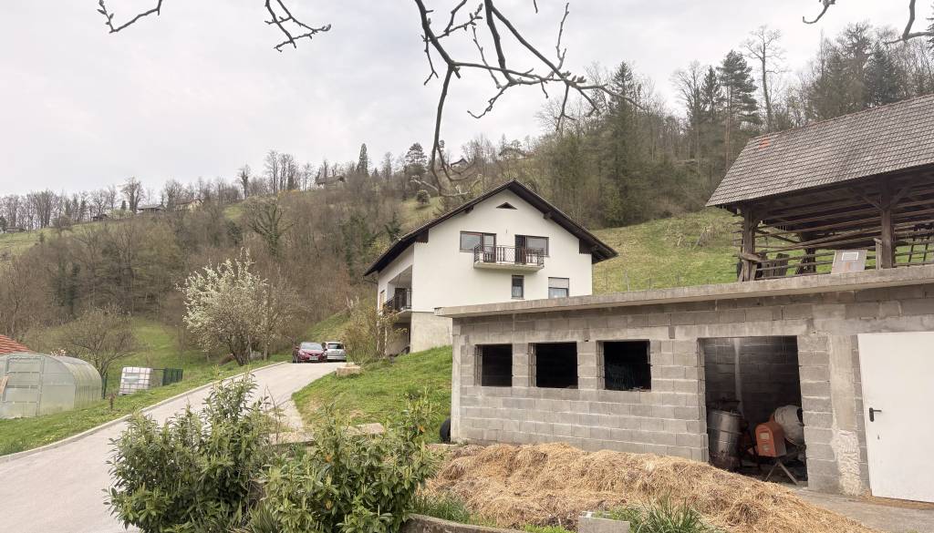 FOTO in VIDEO: Grozljive podrobnosti umora na Štajerskem. Na mamo se je spravil s sekiro