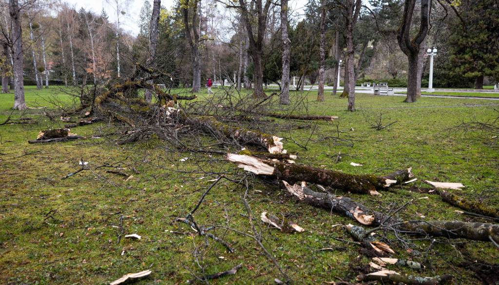 Vremensko opozorilo: Popoldne in zvečer znova okrepljen severni veter