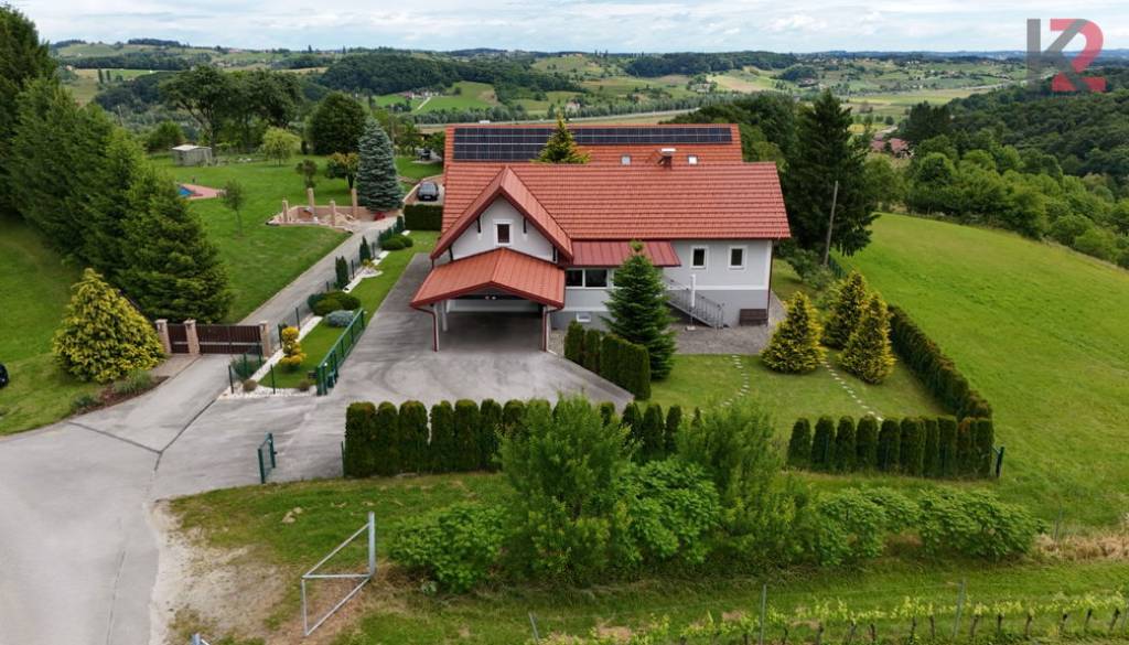 Le nekaj minut od Maribora naprodaj vila z vinsko kletjo in velikim posestvom