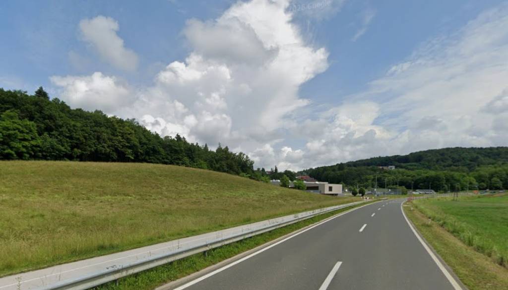 Češenska hosta: Bo stanovanjska cona zdaj zares uspela?