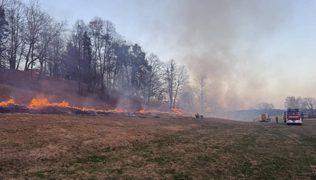 FOTO: Ogenj ušel izpod nadzora, gorelo 400 kvadratov gozdnih površin