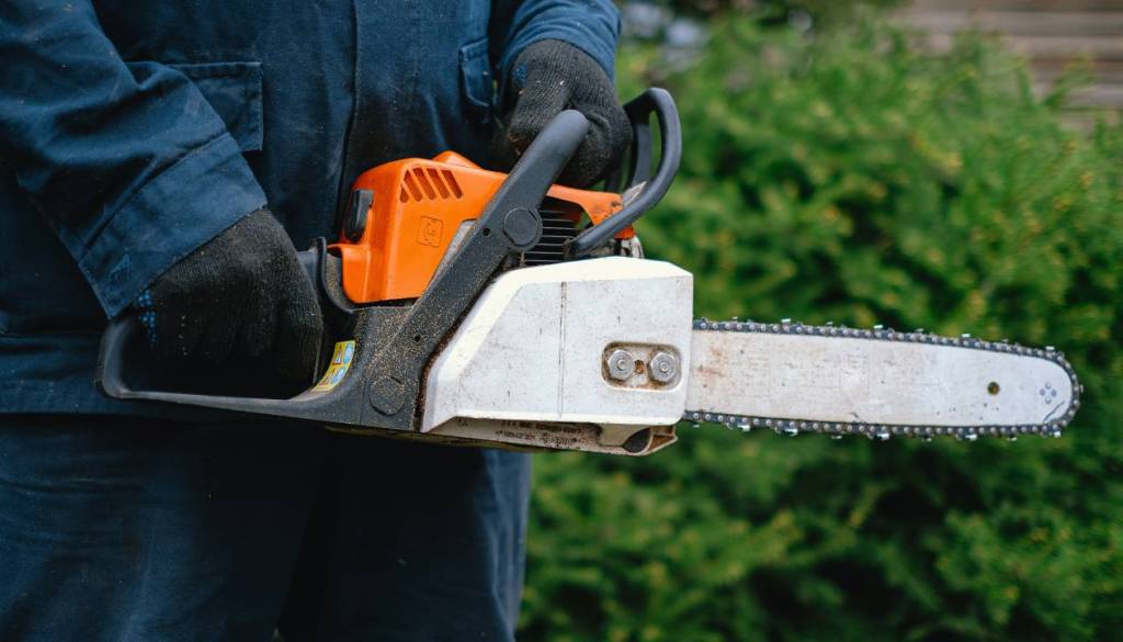 Iščete službo na Gorenjskem? Delo dobi finančni referent in revirni gozdar. Zaposluje tudi Javni zavod Turizem Bled 