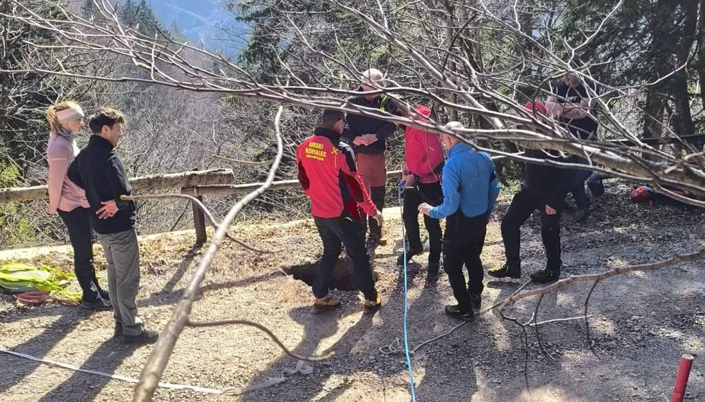 Kuža padel v luknjo ob cesti, na pomoč gorski reševalci