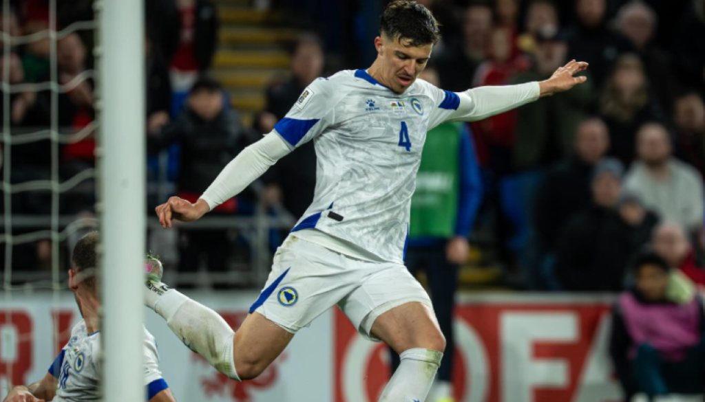 Rojen v Ljubljani, junak BiH