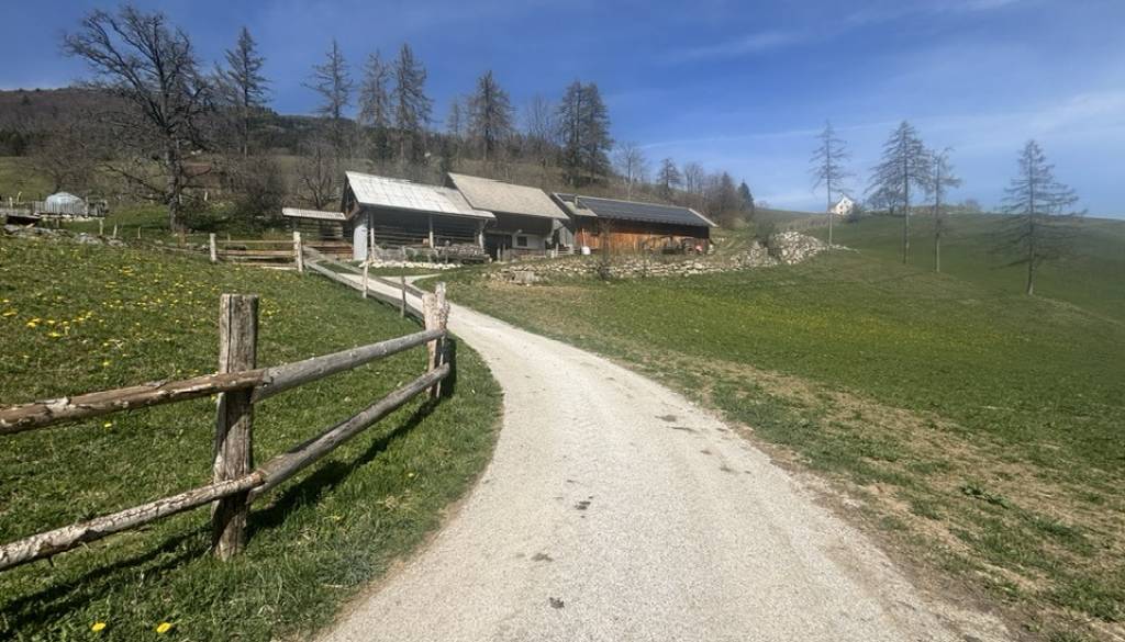 Kmetije