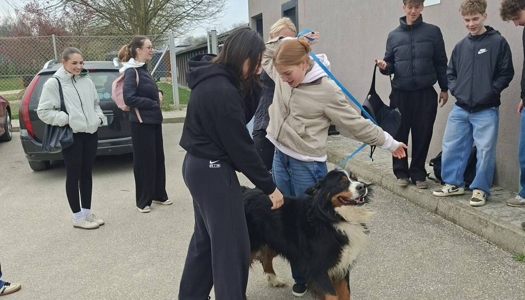 Soboški gimnazijci obiskali Zavetišče Mala hiša in razveselili kužke