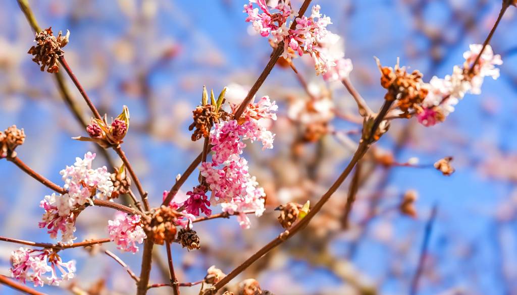 Danes sonce, že jutri oblaki in prve plohe