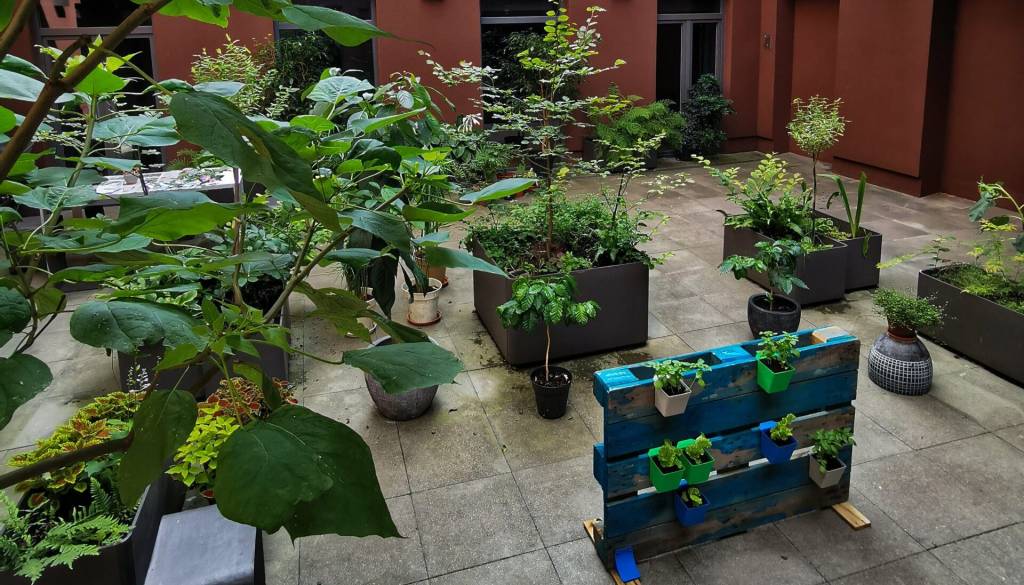 Zeleni teden v Knjižnici Polje: Divja hrana, 3D tisk in izmenjevalnica rastlin