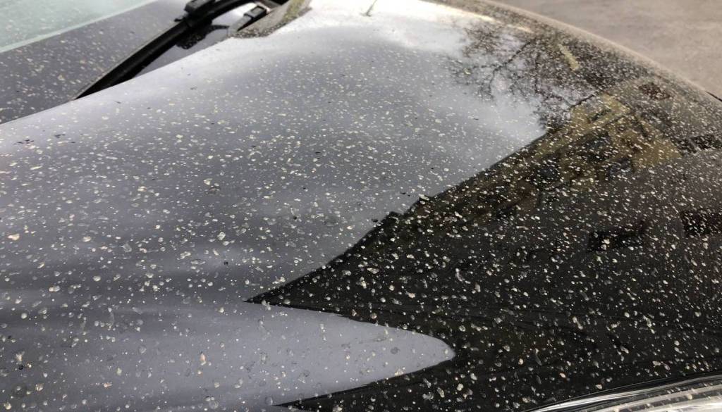 Nad Slovenijo prihaja puščavski prah, kmalu tudi sprememba vremena