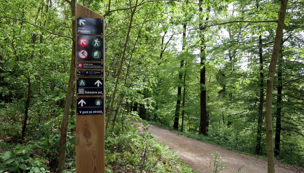 Šok na sprehodu po Golovcu: »V nekaj sto metrih deset in več iztrebkov«