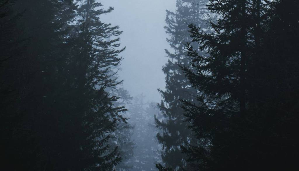 Sojenje za uboj na Štajerskem: Priča naj bi priznala dejanje, obtožena to zanika