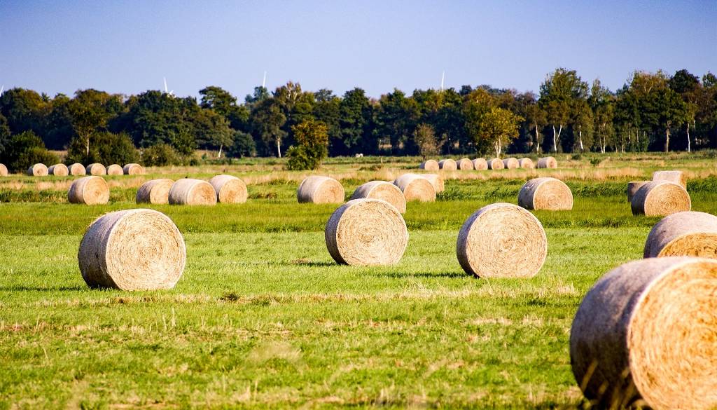 Kuril bale sena, nato pa katastrofa: 66-letnik huje poškodovan, škode za več deset tisoč evrov