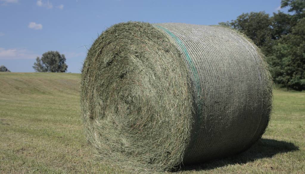 Kuril bale sena, nato pa katastrofa: 66-letnik zaradi opeklin končal v bolnišnici