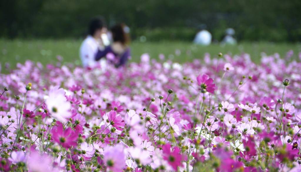 Ta znamenja bodo zaradi ene same zrele odločitve za vedno spremenila svojo usodo