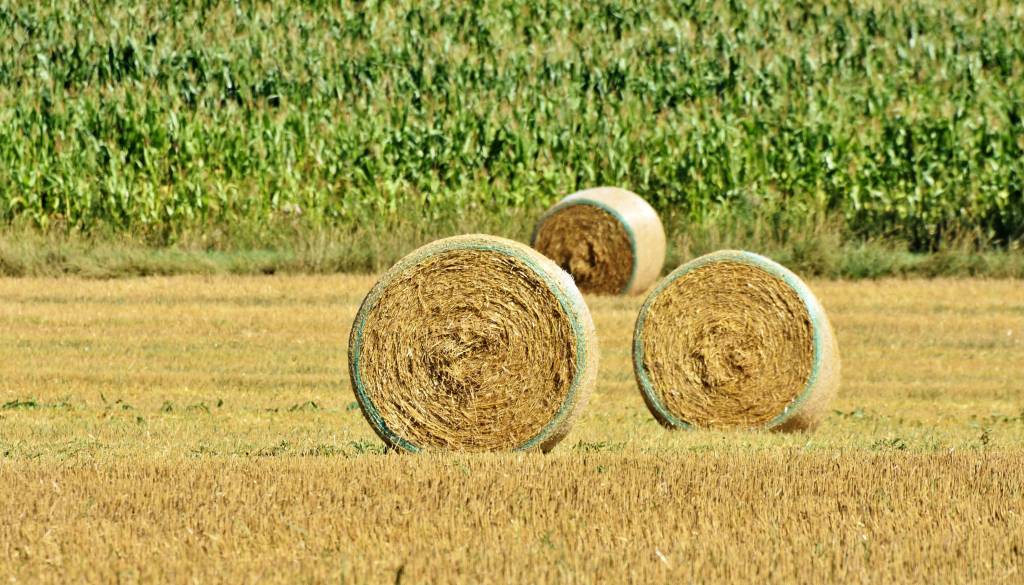 Ogenj ušel izpod nadzora: Zgorelo 250 bal sena in kmetijska mehanizacija