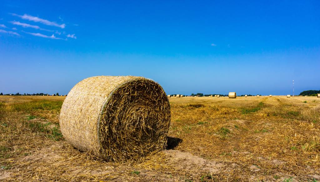 Ob kurjenju bal sena ogenj ušel izpod nadzora, škoda ogromna