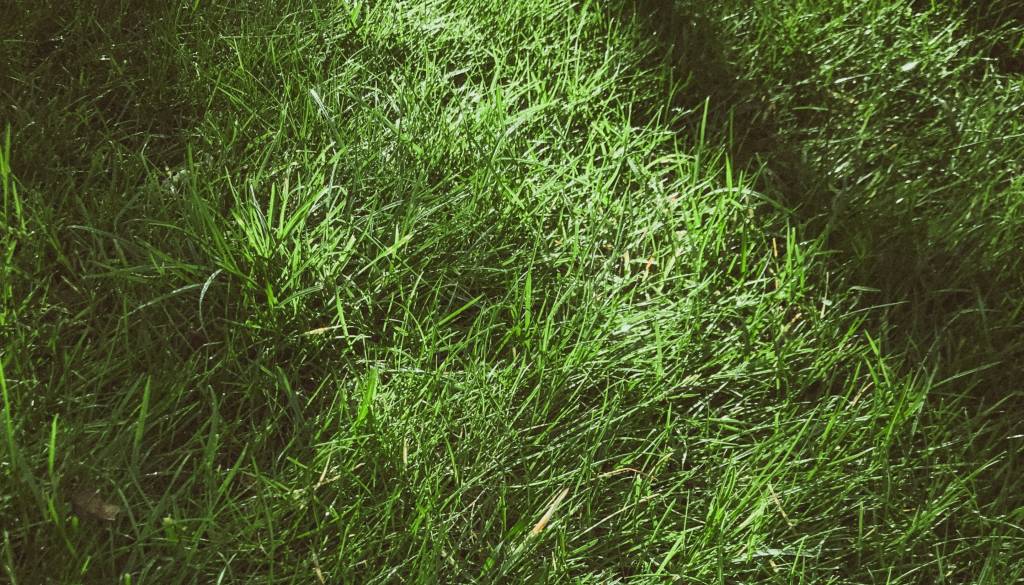 Moški med košnjo brežine padel v potok, poškodovanega odpeljali v bolnišnico