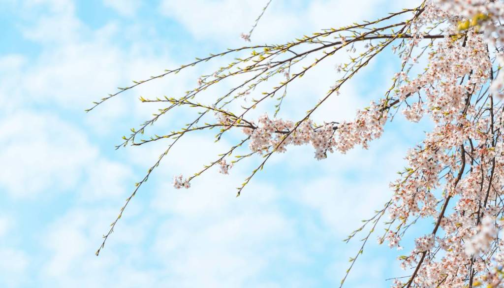 Temperature danes ponekod nad 25 stopinj Celzija, konec tedna pa prinaša preobrat