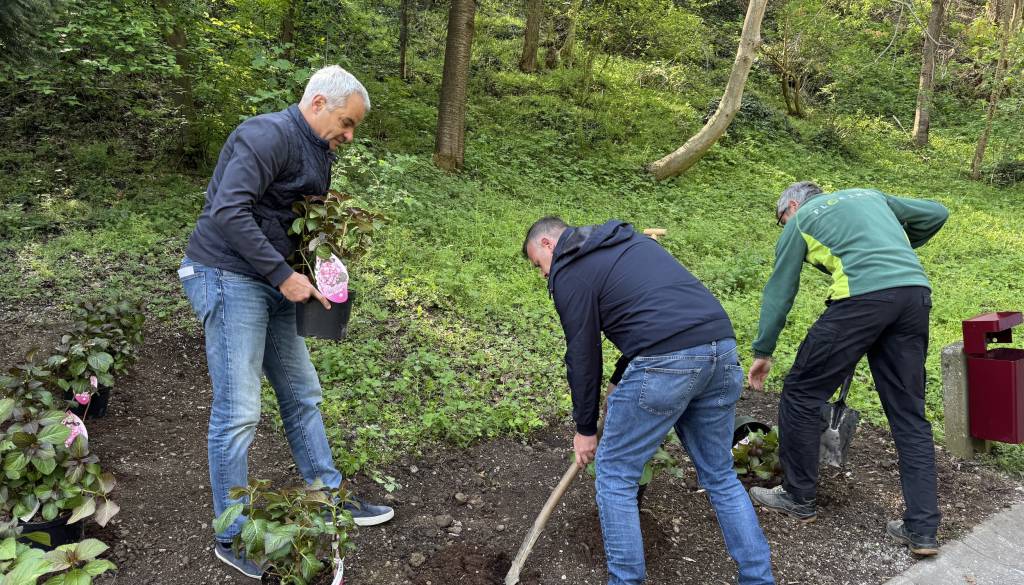FOTO in VIDEO: Na Studencih zasadili nove rastline: Arsenovič: »Želim si, da bi mladi tukaj pustili korenine«