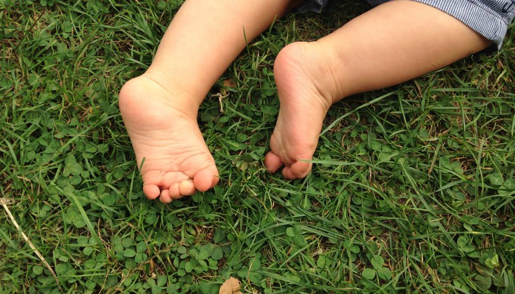 Nacionalni inštitut za javno zdravje sprožil alarm: Preverjajo cepilne knjižice iz Avstrije