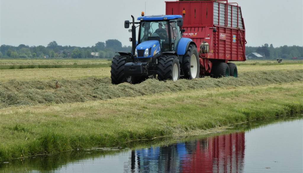 Manj njiv, več eko trendov: Kakšna je nova realnost slovenskega kmetijstva?