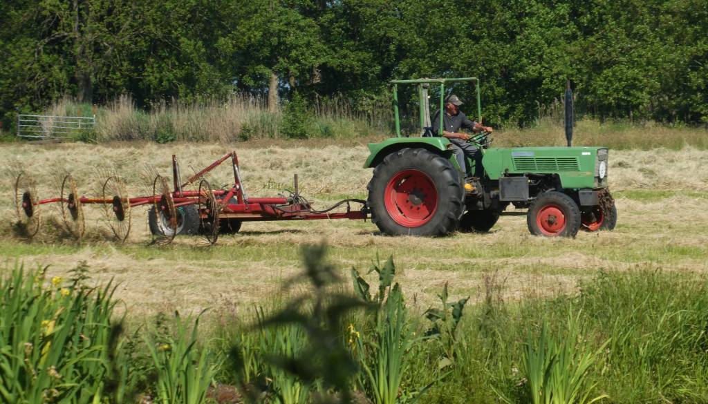Kmetijska zemljišča v upadu: Slovenija izgublja dragocene površine