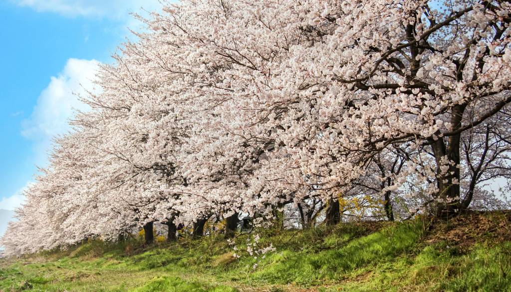 Danes sonce, jutri nevihte – a prava težava se skriva pod površjem
