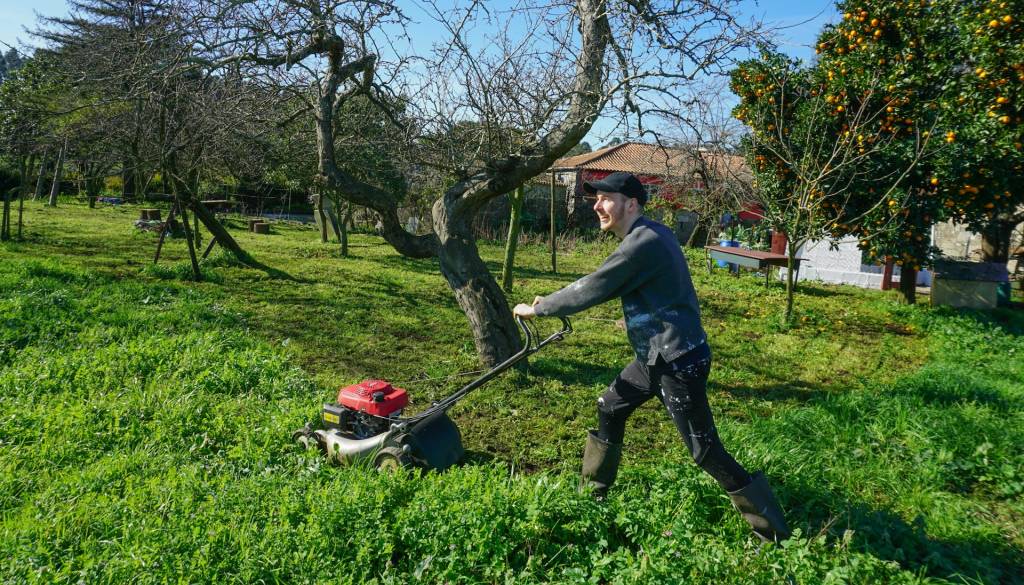 Kaj storiti s pokošeno travo? Te ideje vas lahko presenetijo