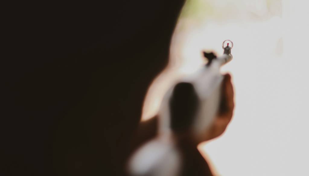 Nov strelski incident v ZDA, ubitih osem otrok, najmlajši je imel komaj eno leto