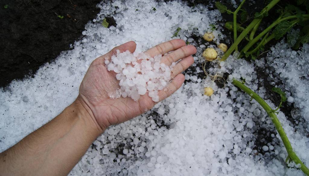 Meteorologi izdali rumeno opozorilo: Možne plohe, nalivi in veter