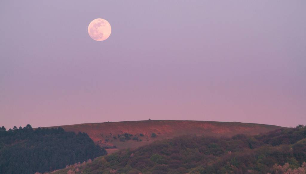 Ko zasije rožnata polna luna: Tem znamenjem se odpira zgodba iz preteklosti