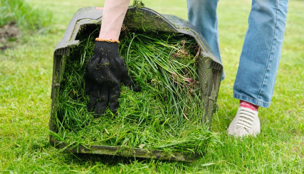 Pokošene trave nikar ne zavrzite: uporabite jo lahko na več koristnih načinov