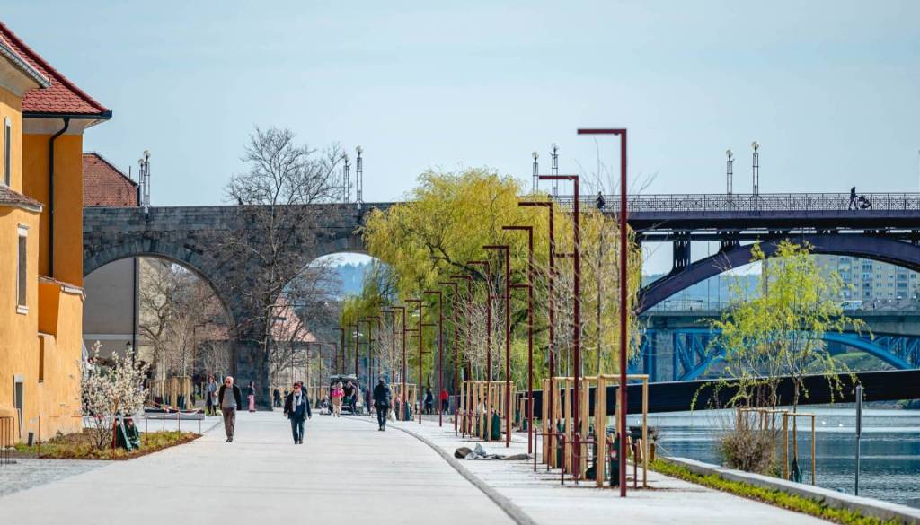 Bolniške, srčni infarkti in rak: Kako se Maribor odreže na testu zdravja?