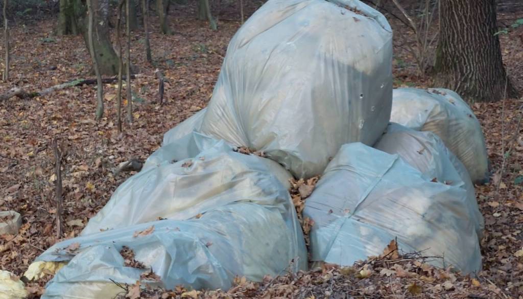 Mariborčan zaradi smeti napoveduje drastičen ukrep, občina odgovarja
