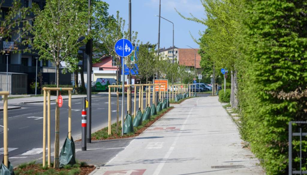 Zasaditev okrasnih divjih češenj na Čufarjevi ulici omogočili dve veliki podjetji