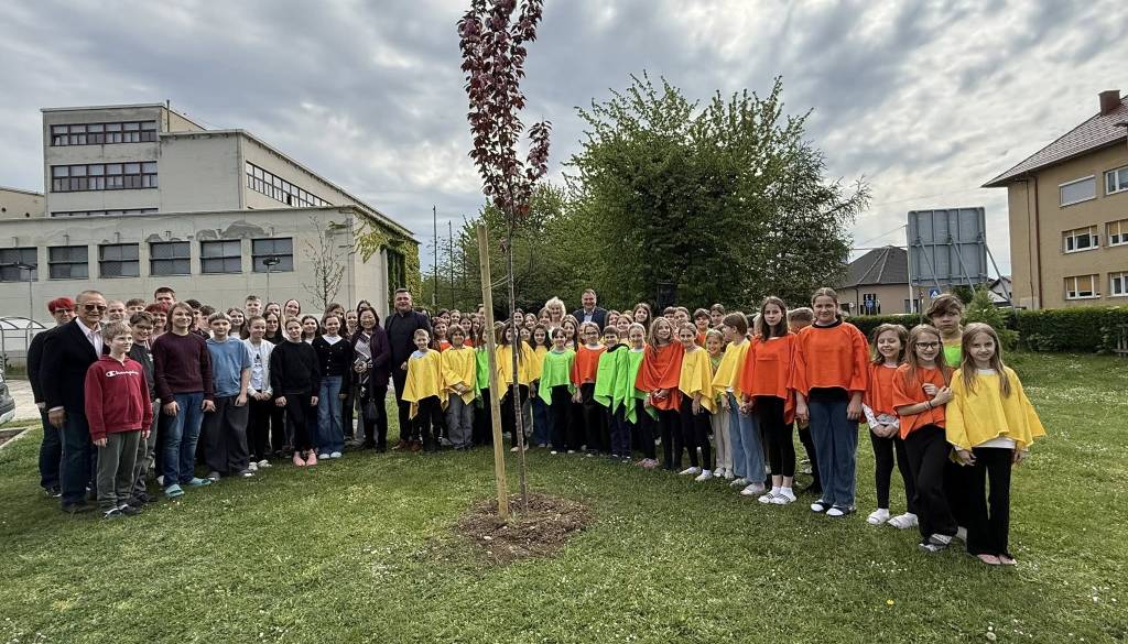 V Murski Soboti zasadili drevesa in češnjo
