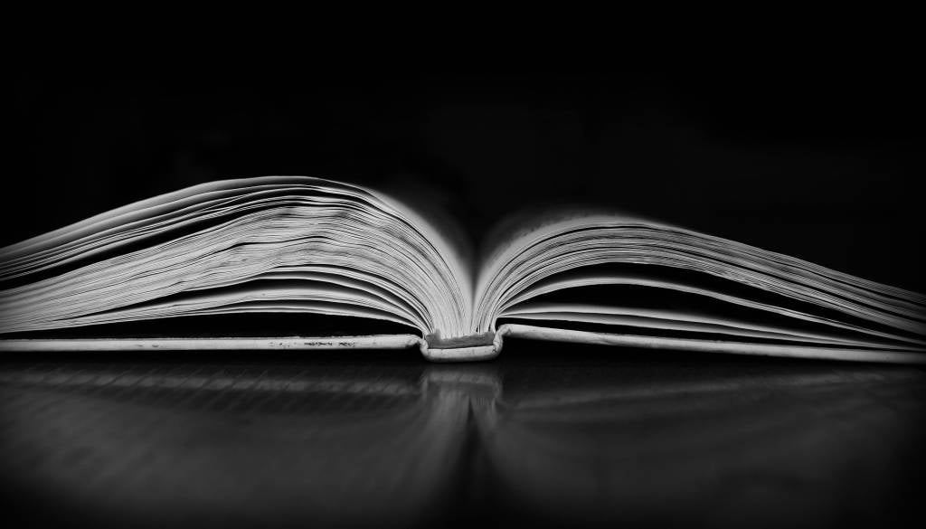 Spomin ostaja živ: koncert in recital za Alena in Antonijo