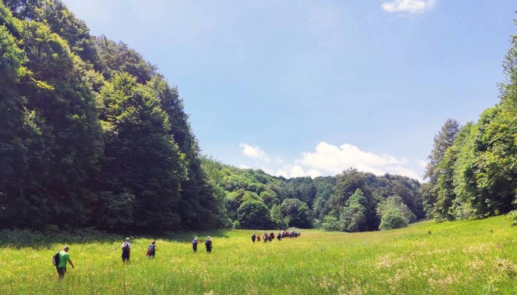 5 dolenjskih 'gora', ki jih morate obiskati vsaj enkrat v življenju