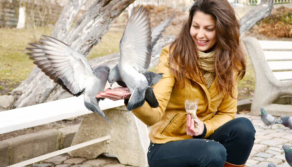 Namesto opozorilnih tabel Janković nad kršitelje zdaj pošilja inšpektorat