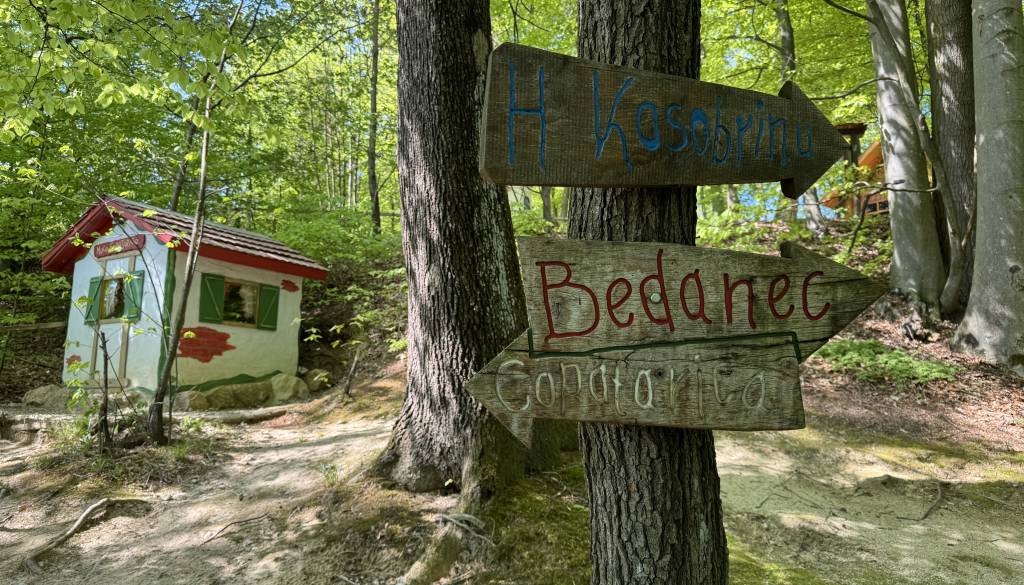 FOTO in VIDEO: Iščete idejo za izlet z otroki? Le pol ure iz Maribora vas čaka pravljični gozd