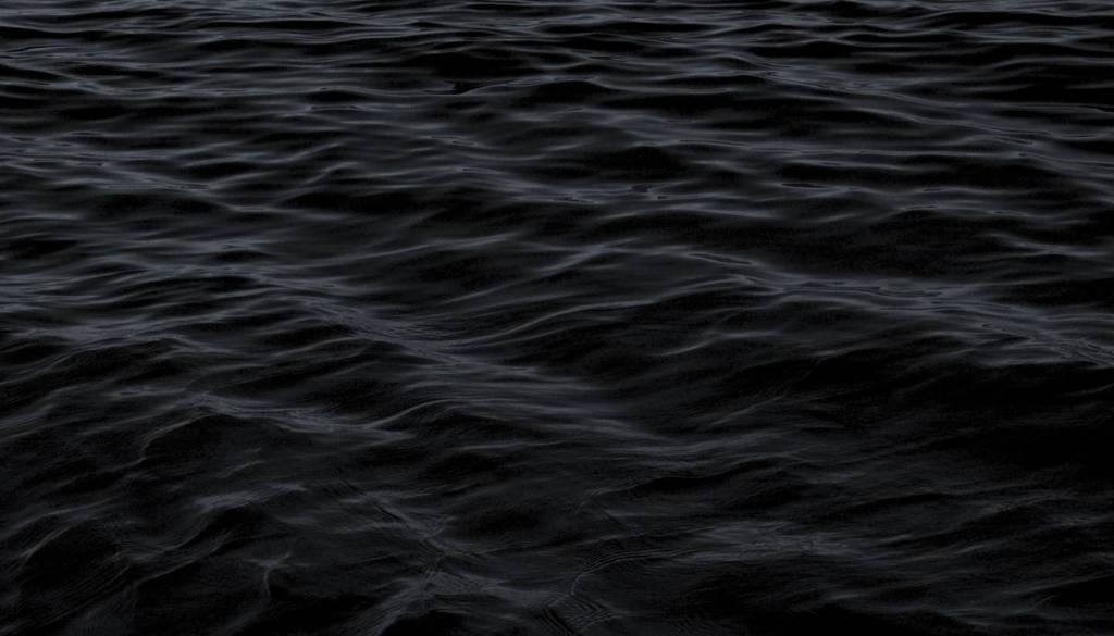 Pogrešana oseba naj bi skočila v reko Savo, takoj stekla iskalna akcija