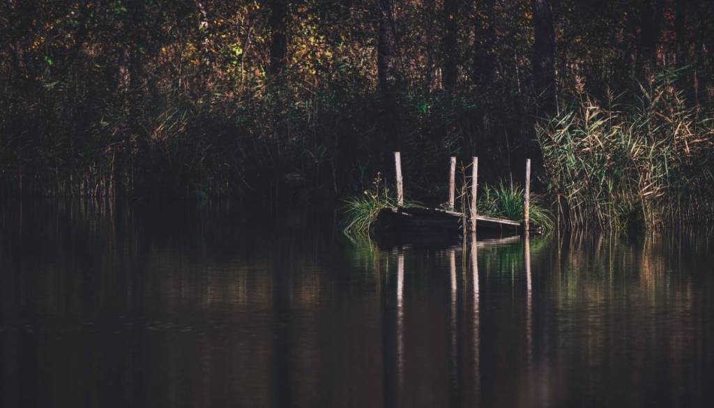 Nočna drama: Policisti in gasilci zaman iskali pogrešano osebo, ki naj bi z mostu skočila v reko 