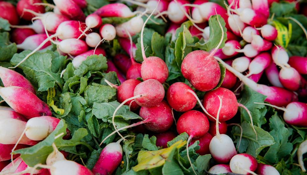 To seme redkvice za kaljenje lahko vsebuje bakterijo, takoj ga vrnite ali zavrzite