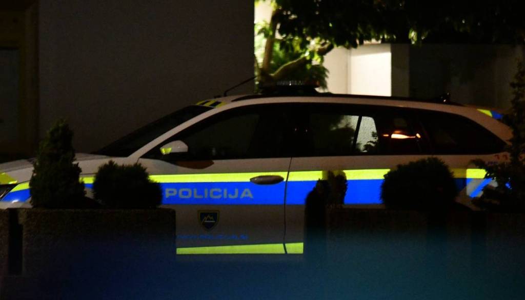 Kradli pri živalskem vrtu, a niso prišli daleč