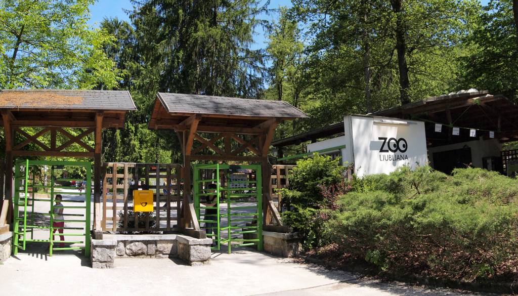 Ganljiv prizor v ZOO Ljubljana: Pomlad prinesla mladičke, pridite jih pogledati