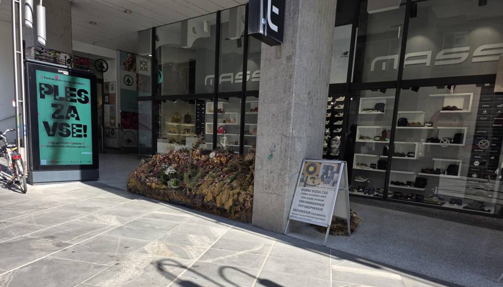 Skrivnostno 'grmovje' na Čopovi: Ljubljančani razkrivajo zgodbo moža, ki že leta prodaja rože