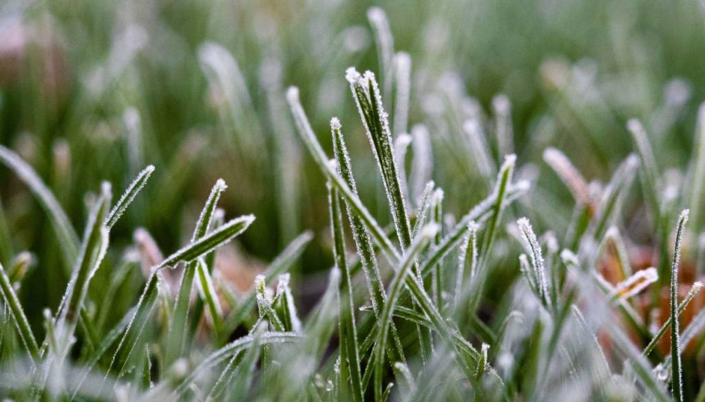 Pripravite topla oblačila, prihajajo hladna jutra: Kakšno pa bo vreme za kresovanje?
